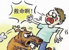 如遇惡犬咬人該怎么辦？這些知識(shí)也許能救命！